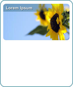 Lorem Ipsum