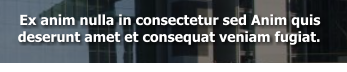 Ex anim nulla in consectetur sed Anim quis deserunt amet et consequat veniam fugiat.